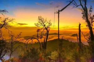 Pagi yang menakjubkan di Sunrise Point, Ciwidey jadi tempat healing pilihan